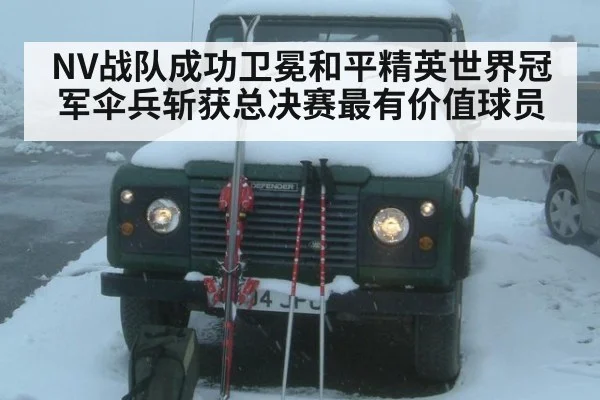 NV战队成功卫冕和平精英世界冠军伞兵斩获总决赛最有价值球员